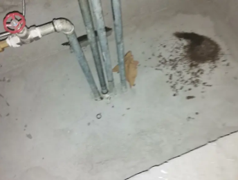 海原卫生间测漏水价格明细